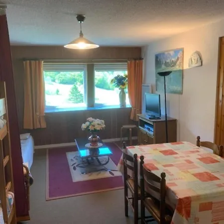 F2 De 38m² Au Pied Des Pistes Du Mont-dore, 6 Couchages, Local A Skis - Fr-1-415-115 Apartment *