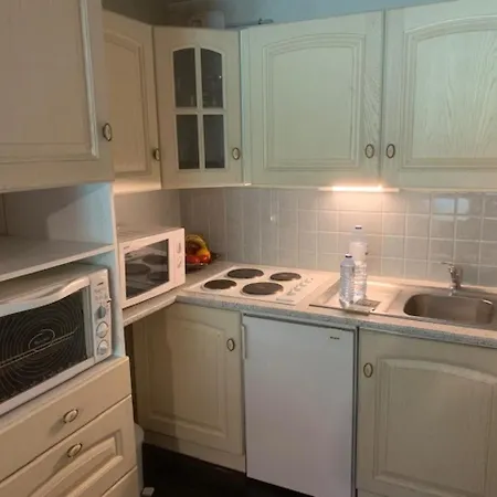F2 De 38m² Au Pied Des Pistes Du Mont-dore, 6 Couchages, Local A Skis - Fr-1-415-115 Le Mont-Dore