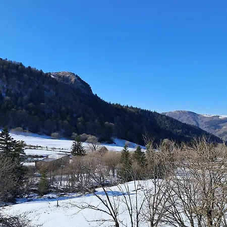 F2 De 38m² Au Pied Des Pistes Du Mont-dore, 6 Couchages, Local A Skis - Fr-1-415-115 Apartament
