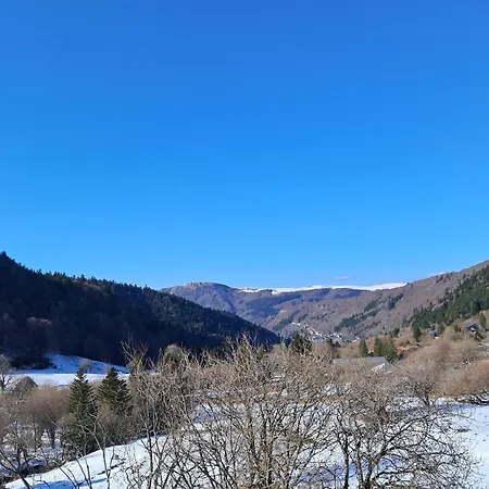 Apartment F2 De 38m² Au Pied Des Pistes Du Mont-dore, 6 Couchages, Local A Skis - Fr-1-415-115 Le Mont-Dore