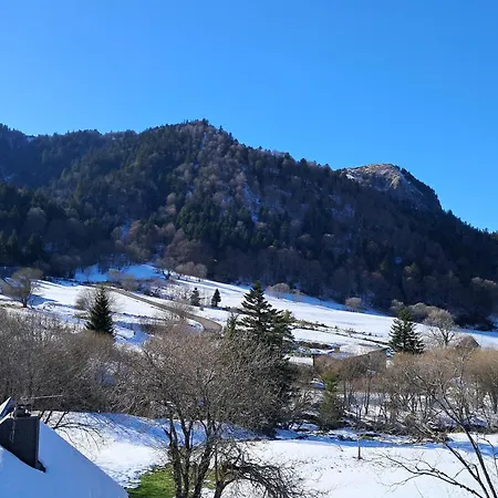 F2 De 38m² Au Pied Des Pistes Du Mont-dore, 6 Couchages, Local A Skis - Fr-1-415-115 * Le Mont-Dore